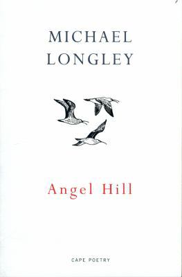 Angel Hill 191121408X Book Cover
