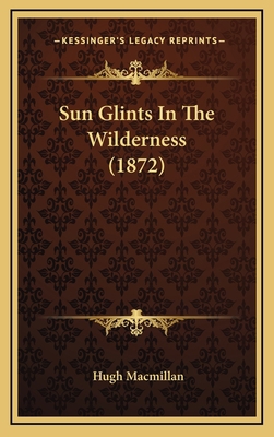Sun Glints in the Wilderness (1872) 116500402X Book Cover