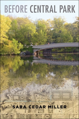 Before Central Park 0231181949 Book Cover