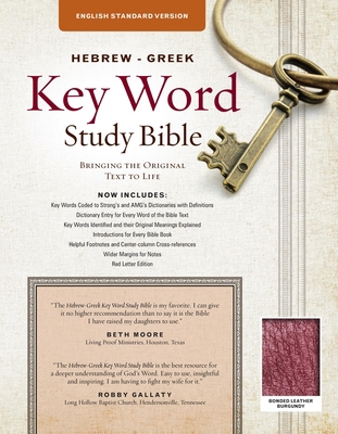 The Hebrew-Greek Key Word Study Bible: ESV Edit... 0899579159 Book Cover