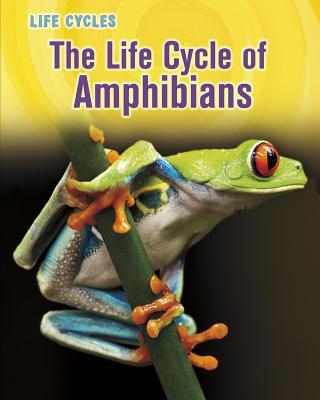 The Life Cycle of Amphibians 1432949780 Book Cover
