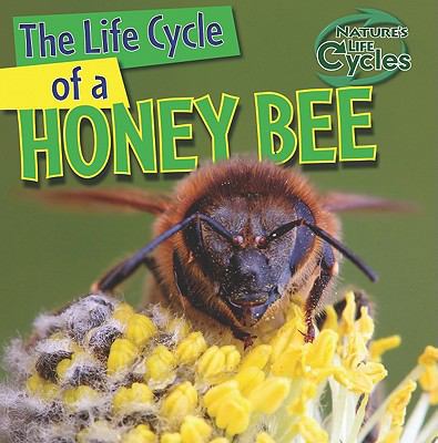 The Life Cycle of a Honeybee 1433946769 Book Cover