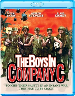 The Boys In Company C            Book Cover