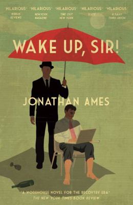 Wake Up Sir 178227121X Book Cover