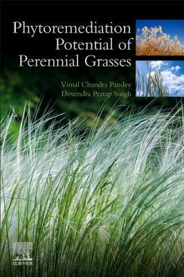 Phytoremediation Potential of Perennial Grasses 0128177322 Book Cover