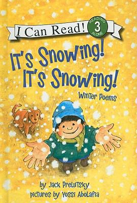 It's Snowing! 0756980577 Book Cover