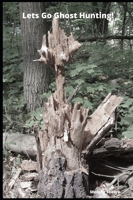 Lets Go Ghost Hunting! 1677266422 Book Cover