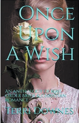 Once Upon A Wish B0CYWQ76FZ Book Cover