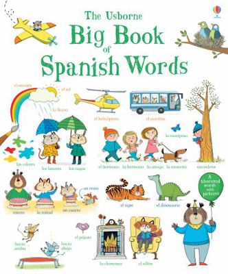 Big Book of Spanish Words 140959355X Book Cover