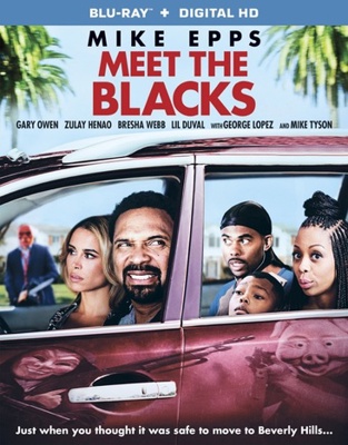 Meet the Blacks            Book Cover