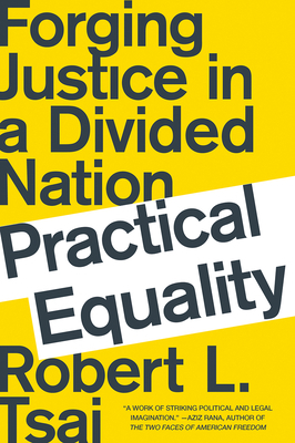 Practical Equality: Forging Justice in a Divide... 0393358550 Book Cover