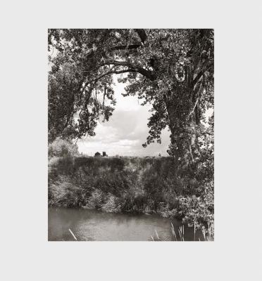 Robert Adams: Cottonwoods 3958290965 Book Cover