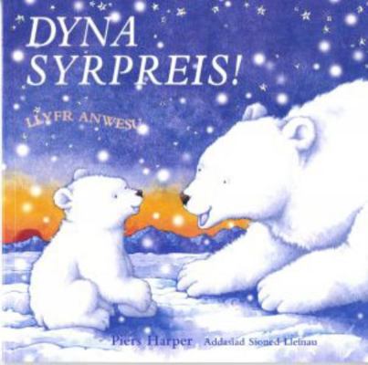 Dyna Syrpreis! [Welsh] 1843235528 Book Cover