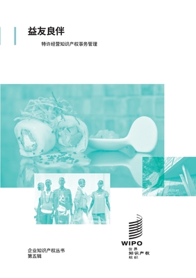 In Good Company: Managing Intellectual Property... [Chinese] 928053114X Book Cover