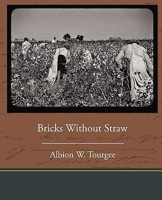 Bricks Without Straw 1438594186 Book Cover
