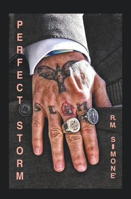 Perfect Storm B0CCSZJX7Q Book Cover
