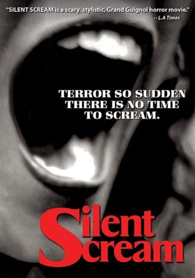 Silent Scream 6317615519 Book Cover