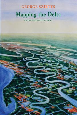Mapping the Delta 1780373201 Book Cover