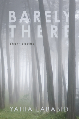 Barely There 149826834X Book Cover