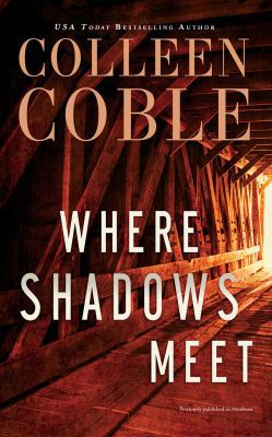 Where Shadows Meet: A Romantic Suspense Novel 1543676634 Book Cover