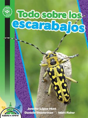 Todo Sobre Los Escarabajos