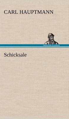 Schicksale [German] 3847251295 Book Cover