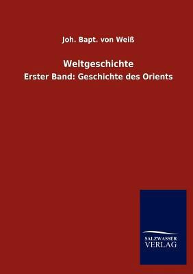 Weltgeschichte [German] 3846015016 Book Cover