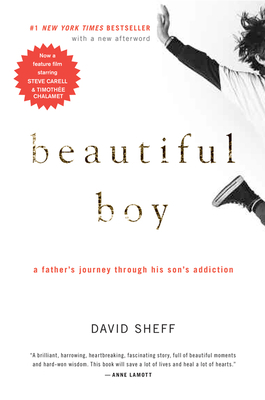 Beautiful Boy : A Father's Journey Through His ... B007CK9UEI Book Cover