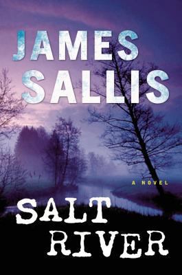 Salt River: A Novel (John Turner Series) 0802716172 Book Cover