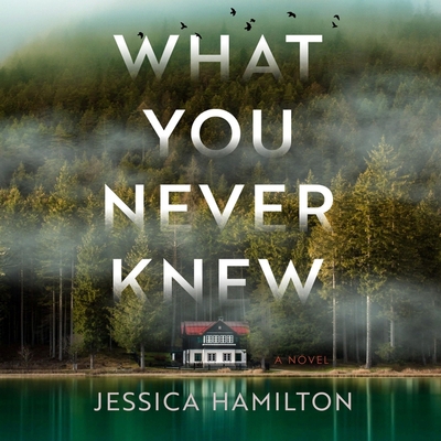 What You Never Knew B0DFSSLRP4 Book Cover