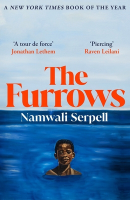 Vintage The Furrows From the Prize-winning auth... 1529115558 Book Cover
