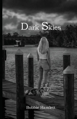 Dark Skies B0DK2LVLVD Book Cover
