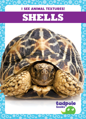 Shells B0BFV215KL Book Cover