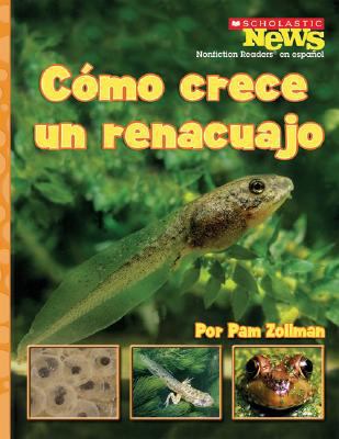 Como Crece Un Renacuajo = A Tadpole Grows Up [Spanish] 0531207072 Book Cover