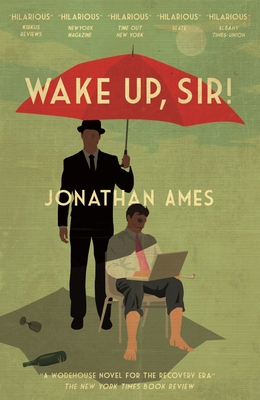 Wake Up Sir 178227121X Book Cover