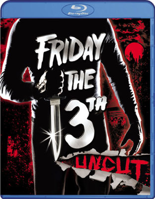 Friday The 13th            Book Cover