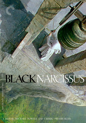 Black Narcissus B00A2K5AOO Book Cover