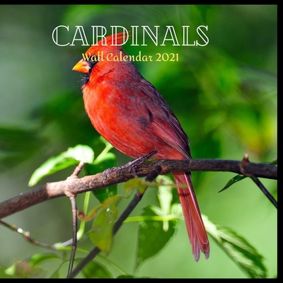 Cardinals Wall Calendar 2021: Great gifts ideas for teacher and for special holidays ( Christmas, Halloween and Thanksgiving Hanukkah Day) birthdays party