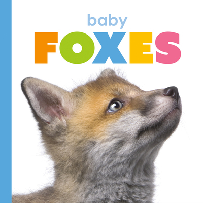 Baby Foxes 1640262466 Book Cover