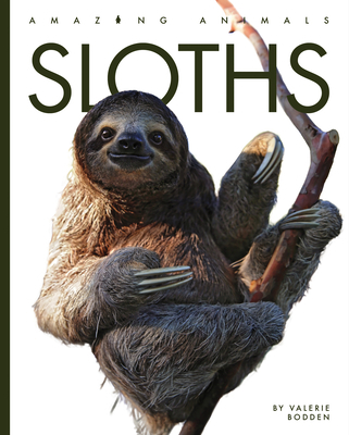 Sloths 1682771342 Book Cover