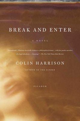 Break and Enter: A Novel 0312427603 Book Cover