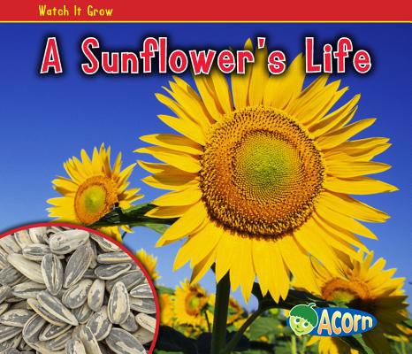 A Sunflower's Life 1432941445 Book Cover