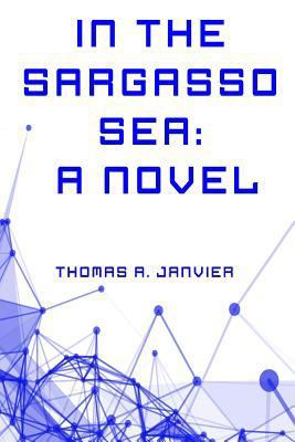 In the Sargasso Sea: A Novel 1523622830 Book Cover