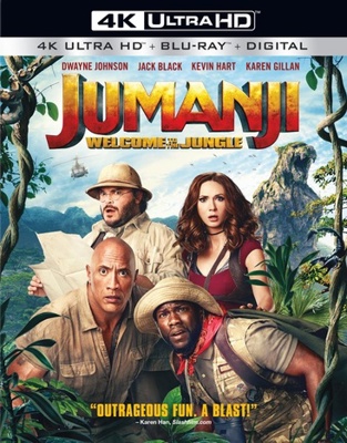 Jumanji: Welcome to the Jungle            Book Cover