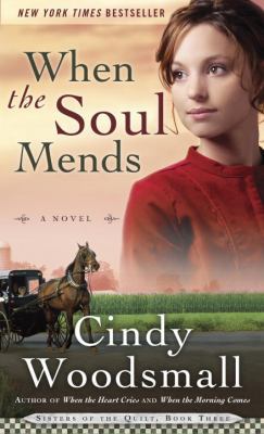 When the Soul Mends 1601427123 Book Cover