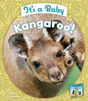 It's a Baby Kangaroo! 1604535768 Book Cover