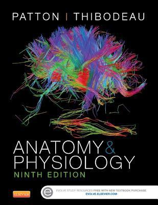 Anatomy & Physiology (Includes A&p Online Course) 0323298834 Book Cover