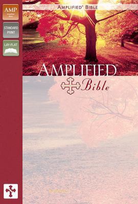 Amplified Bible-AM 0310951690 Book Cover