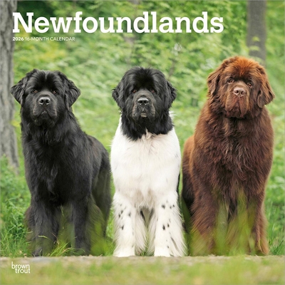 Newfoundlands 2026 12 X 24 Inch (Hanging) Month... B0DYLLG323 Book Cover