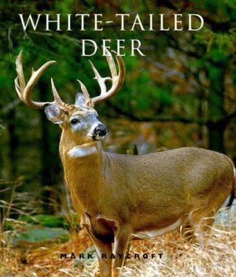 White-Tailed Deer 1552093751 Book Cover